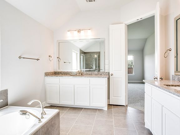 Luxurious owner s bath