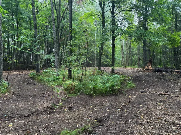 Dream Lake Rd #1, Long Lake, WI 54542