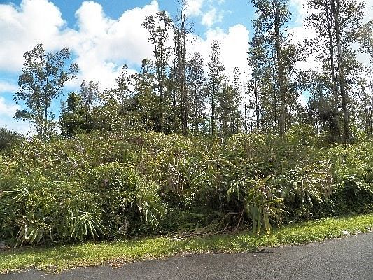 2nd image of Anthurium Dr Lot 57