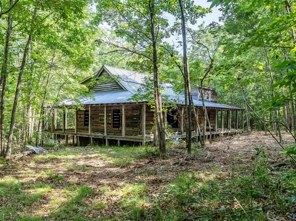 481 Road 9072, Mentone, AL 35984