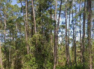 304 Rosewood St, Georgetown, FL 32139