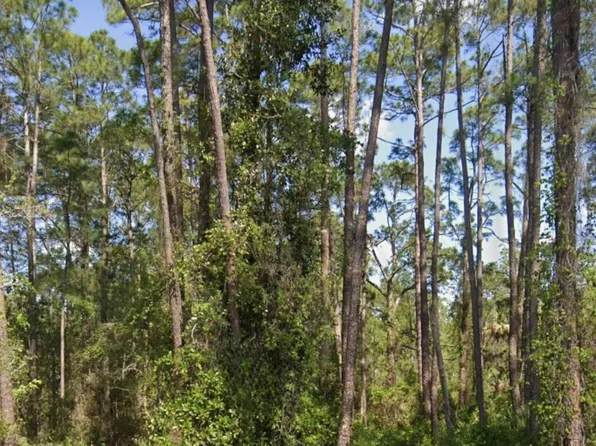 304 Rosewood St, Georgetown, FL 32139