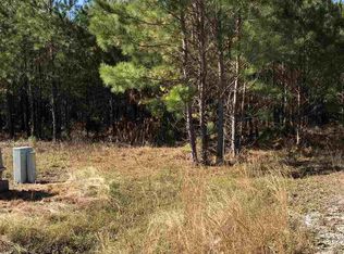 117 Yellow Dog Ct, Loris, SC 29569