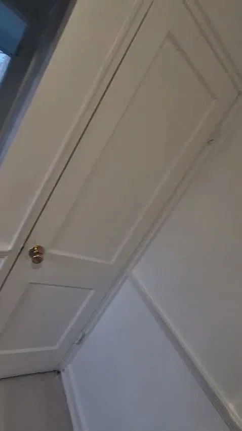 1 bed, $950 — Photo 2