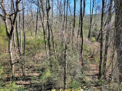 Tba Sandhills Game Management, Ellerbe, NC, 28338