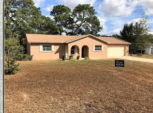 11417 Adelia St, Spring Hill, FL 34608