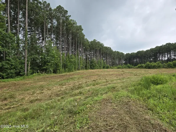 LOT 50 Roseheath Ct, Bailey, NC 27807