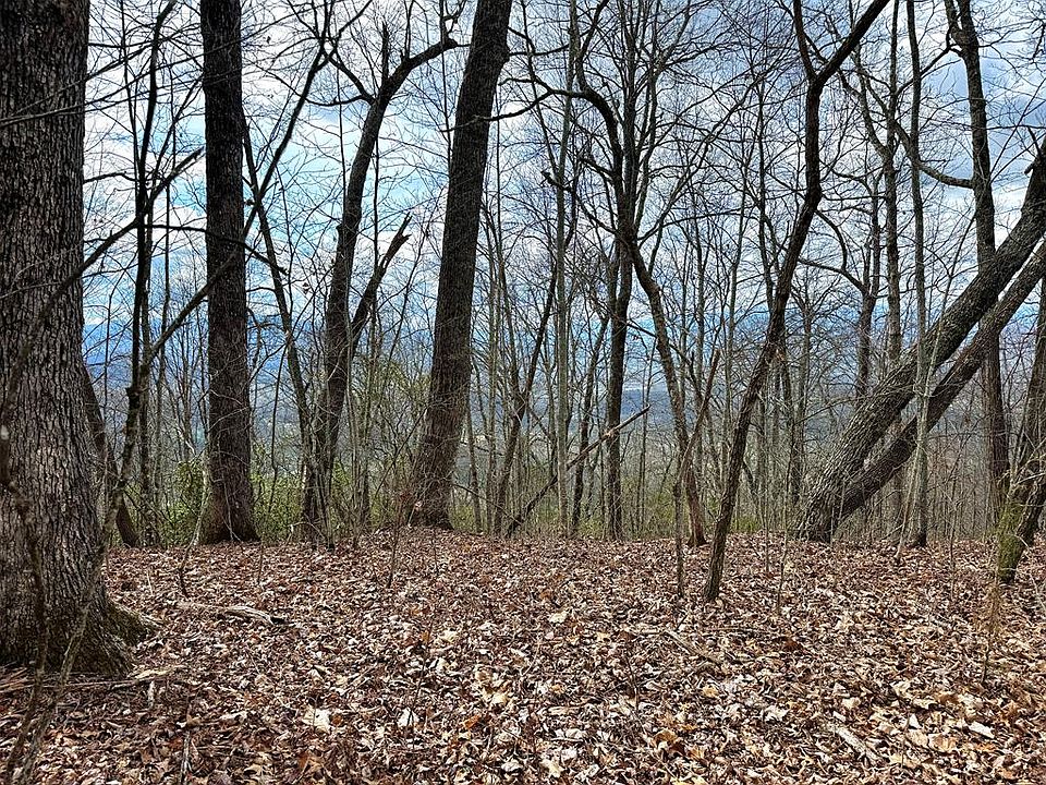 1st image of LOT 42 Lone Oak Rdg