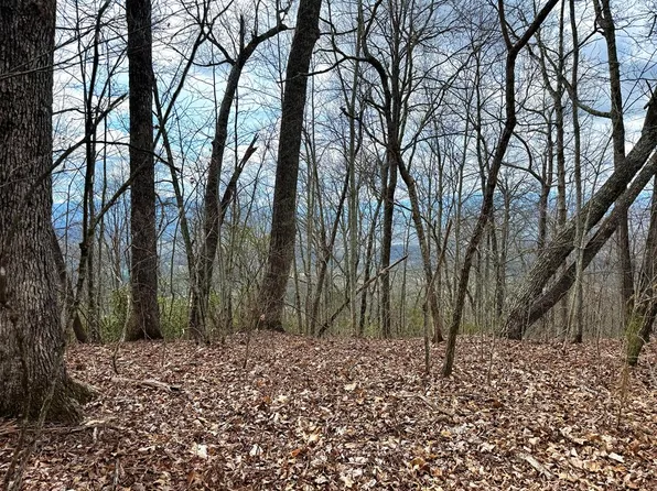 LOT 42 Lone Oak Rdg, Franklin, NC 28734