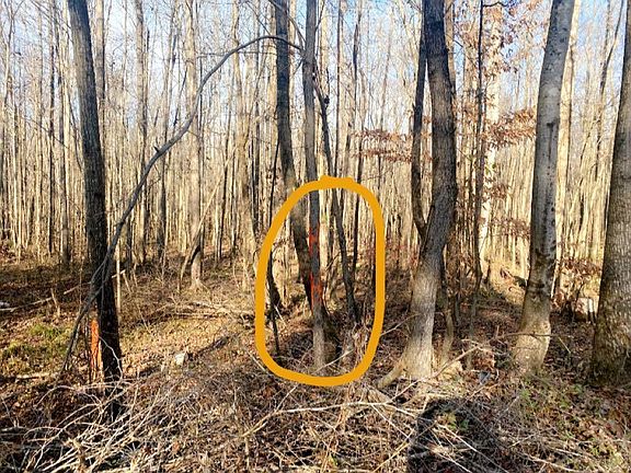 4th image of 210 Lands End Ln
