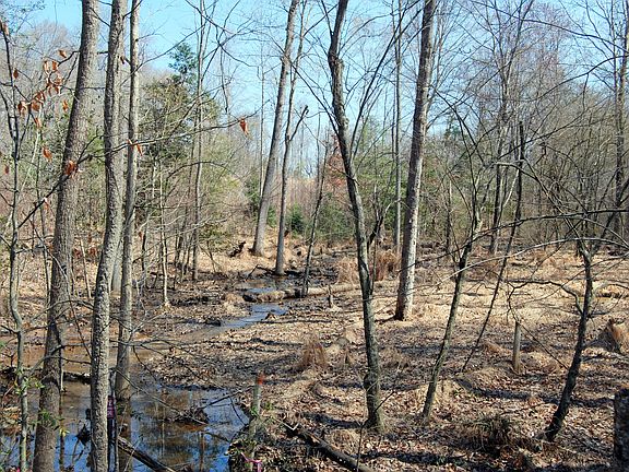 5th image of Lakeshore Dr