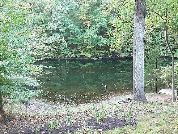 3 1/2 acre pond/lake