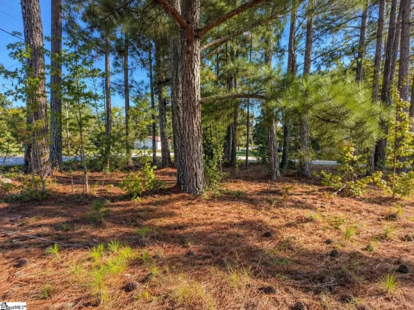 0 W Centennial St, Clinton, SC 29325