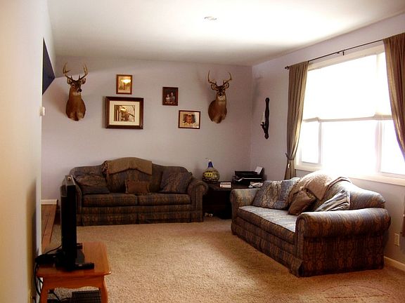 Sunny Living Room
