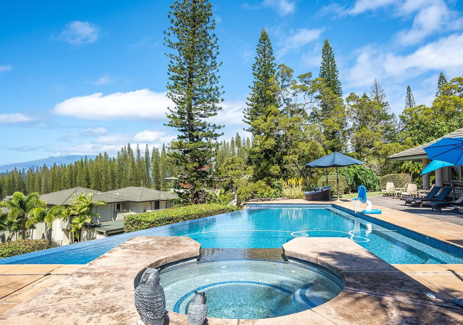 Private Kapalua Estate in Pineapple Hill 4 Bedroom 4.5 Bath Luxury Home with Pool — Photo 2