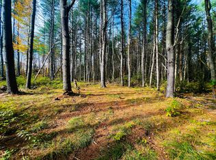 M5-L22 Leavitt Dr #3-1, Palmyra, ME 04965