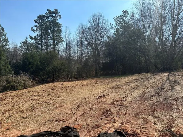0 Papa Coon Trl #1B, Demorest, GA 30535