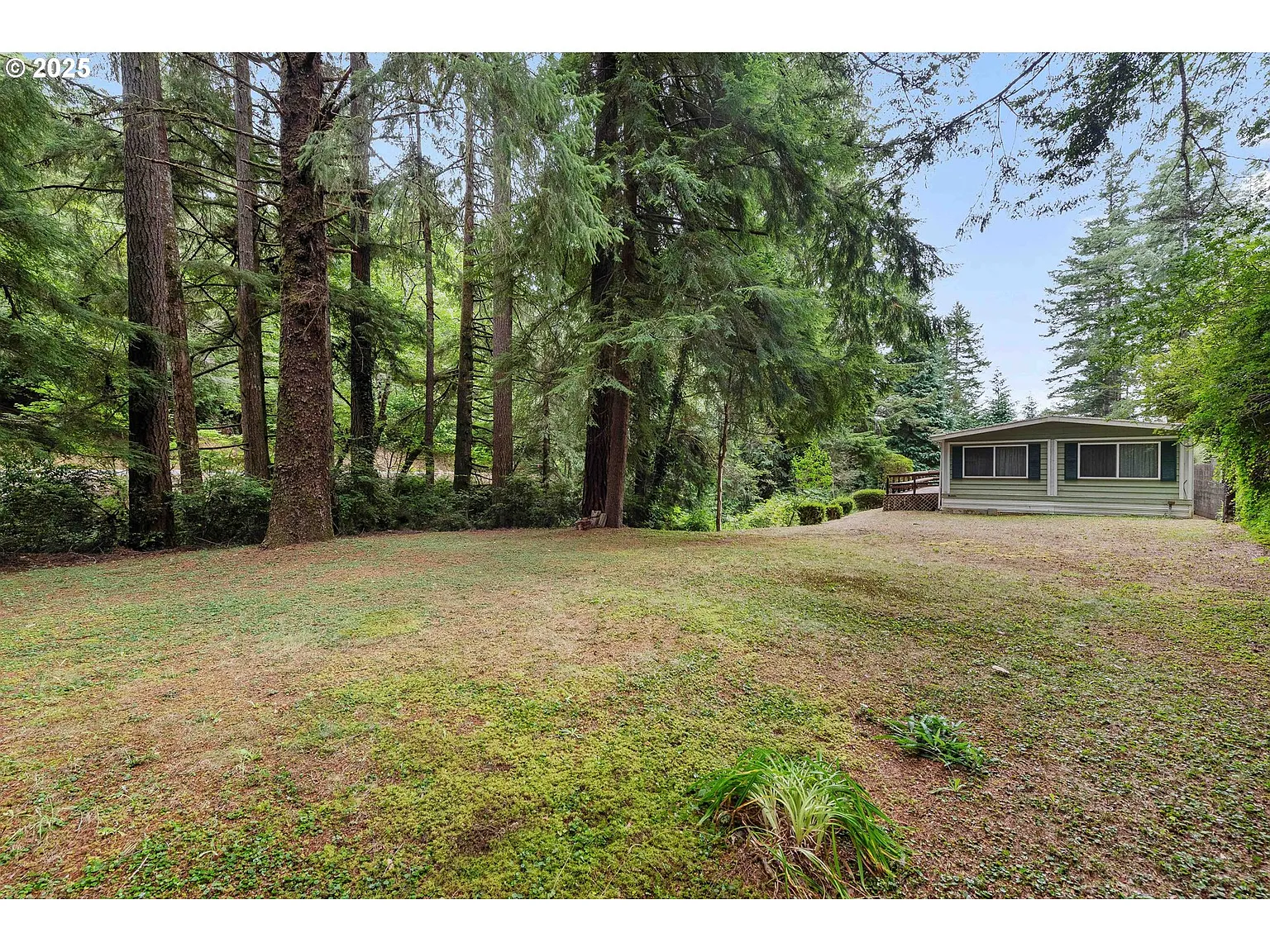 62974 Shinglehouse Rd photo 1