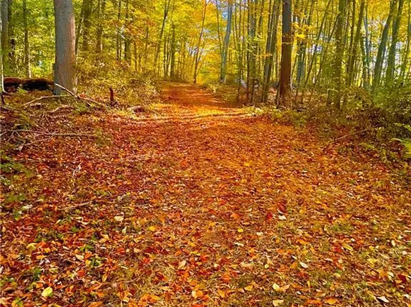 88 Flat Rock Hill Road, Old Lyme, CT 06371