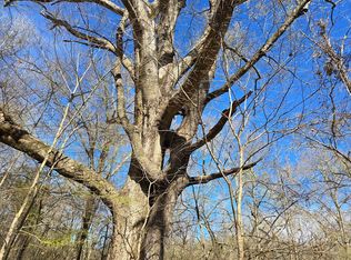 1732 Julius Gibbs Rd, Lorman, MS 39096