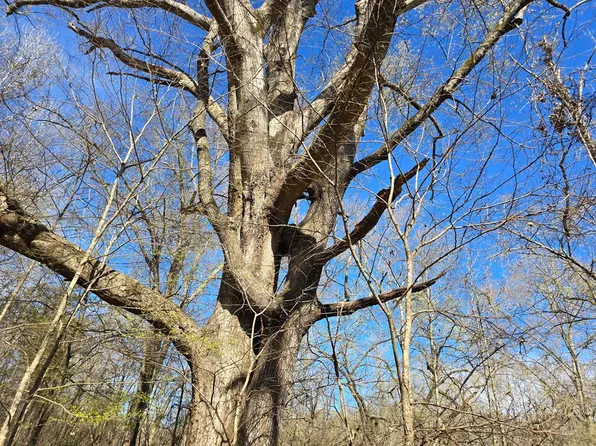 1732 Julius Gibbs Rd, Lorman, MS 39096