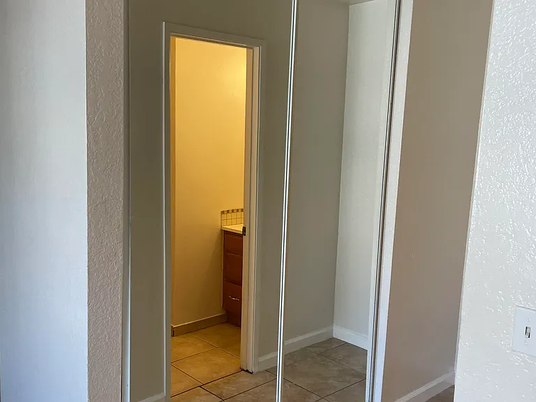Mirrored Closet