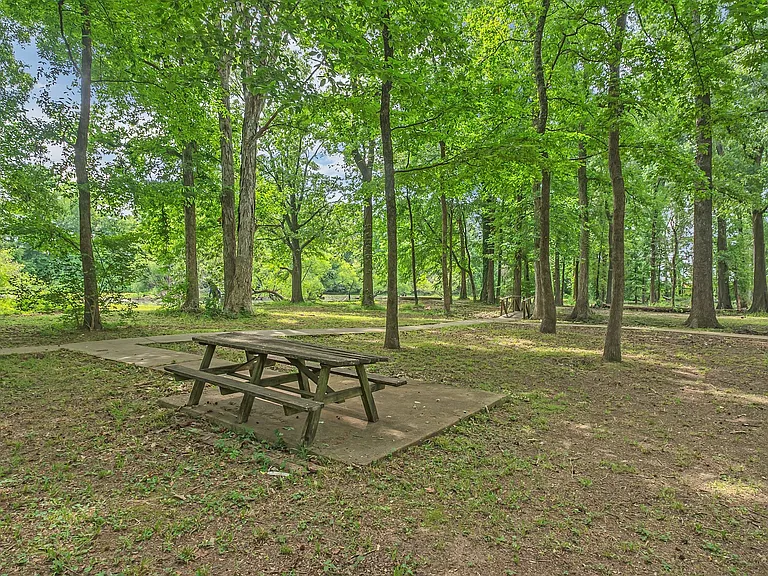 Arbor Park — Photo 16