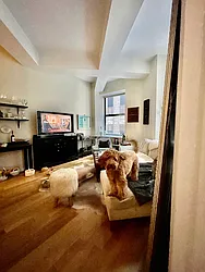 Rented by NY Living Solutions