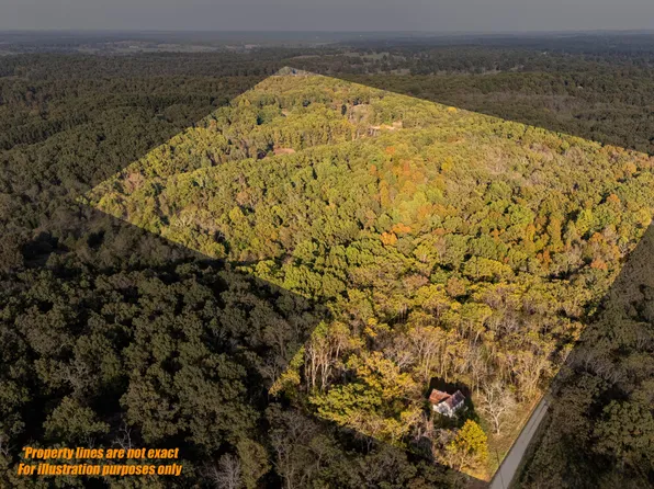 1251 County Road 7550, Pottersville, MO 65790