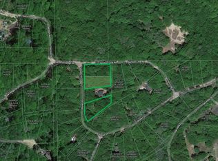 00 Shores, Leroy, MI 49655