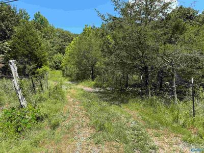 494 County Road 221, Scottsboro, AL, 35768