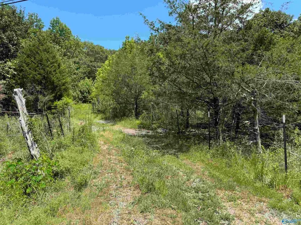 494 County Road 221, Scottsboro, AL 35768