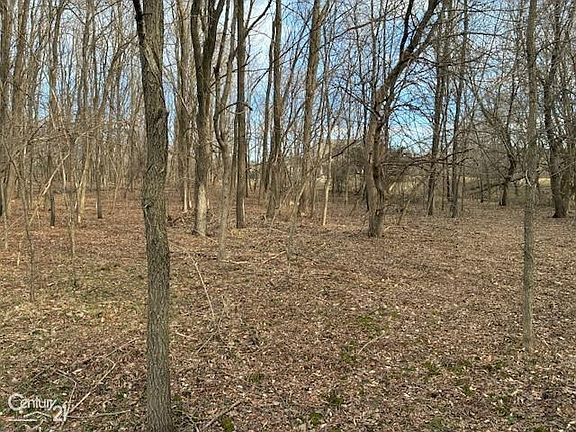 2nd image of 0 Marshall Rd