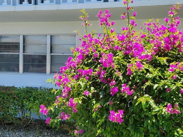 102 Andover #102, West Palm Beach, FL 33417