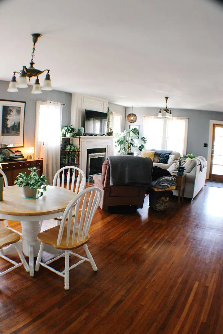 Stunning 3 bed house by MSU! — Photo 3