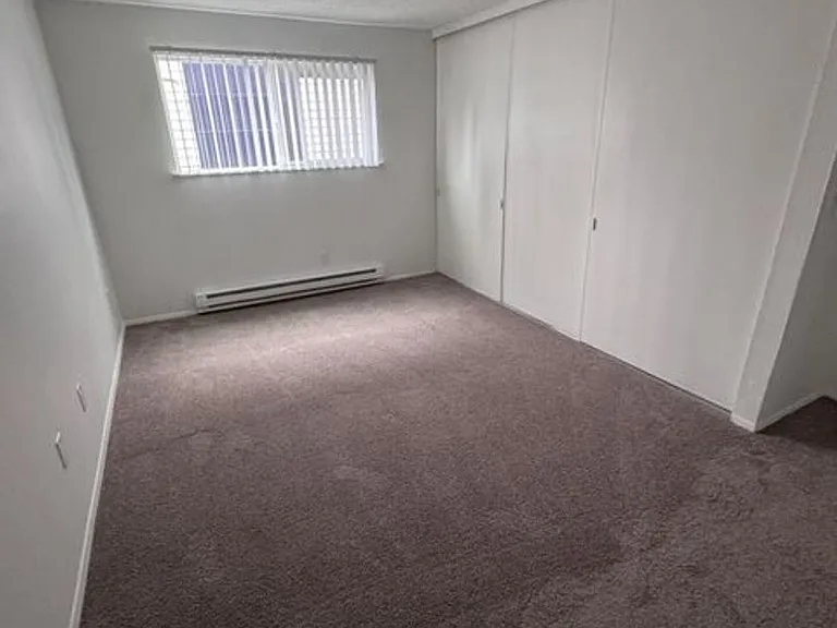 Forest View Apartments — Photo 8