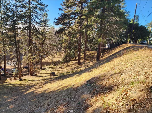 30696 Ferndale Dr #235, Running Springs, CA 92382