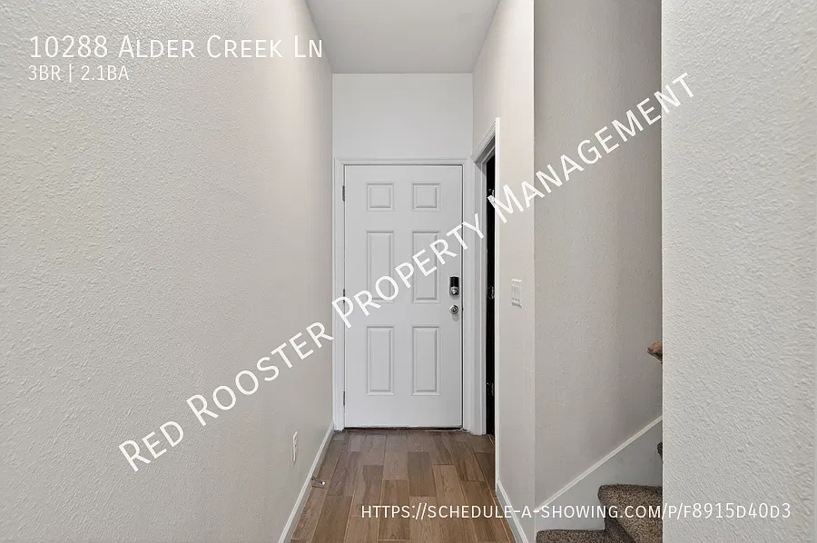 Rent Special! Oakleaf Area Townhouse, 3 Bedrooms, Pets Ok, Available Now — Photo 3
