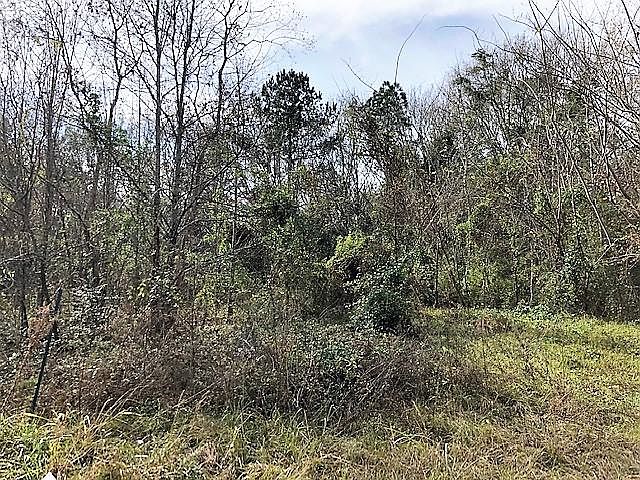 2nd image of 9065 Salamander Rd