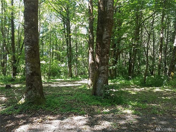 4th image of 152 Pompey Peak Dr