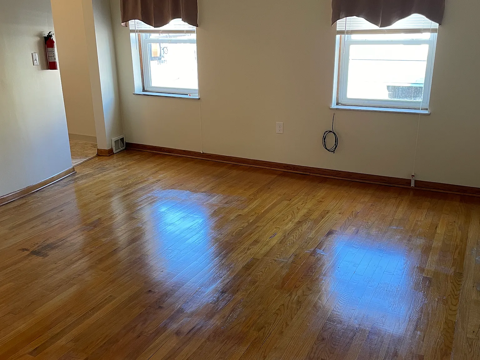 1 bed, 534 sqft, $750 — Photo 2