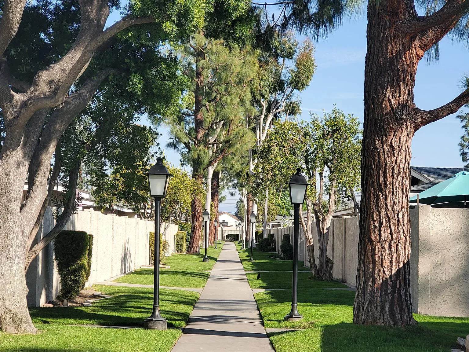 Knott Village — Photo 3