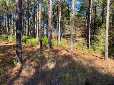 2323 Cr, Rusk, TX, 75785