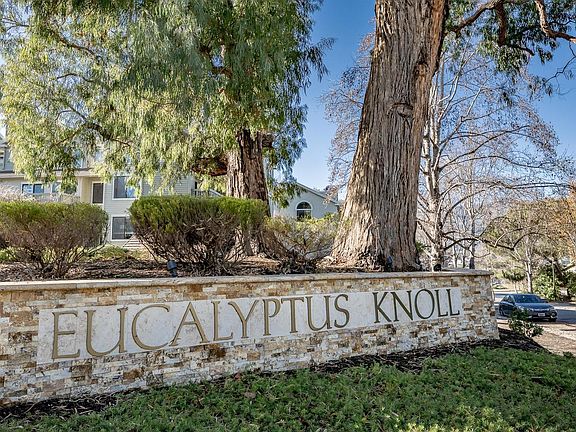 3rd image of 23 Eucalyptus Knl