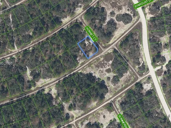 408 Hornet Ct, Lake Placid, FL 33852