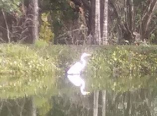 601 W Market Rd, Starke, FL 32091