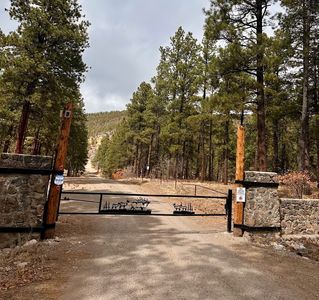 Saddleridge, Chama, NM, 87520
