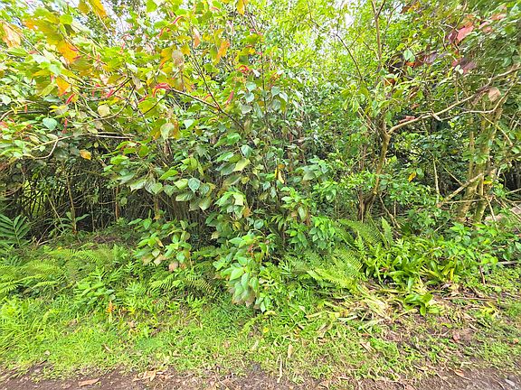 5th image of Aloha Rd Lot 172
