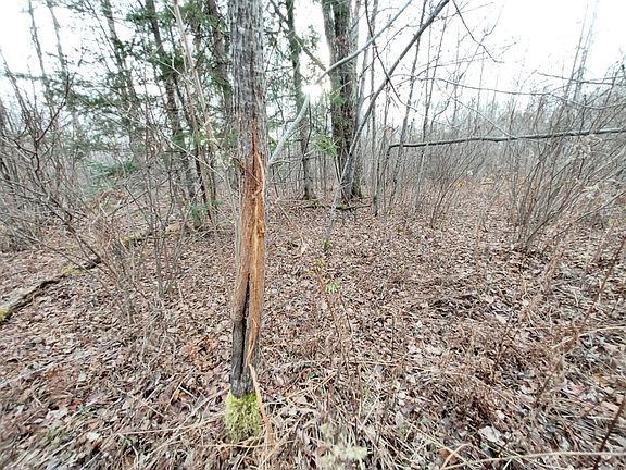 3rd image of On Doland Road
