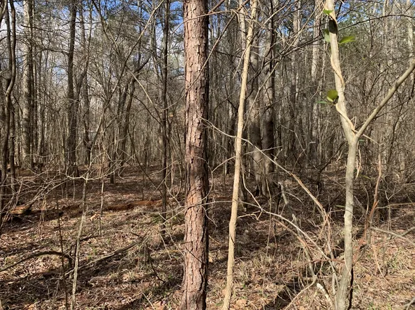 0 Old Toone Rd, Medon, TN 38356